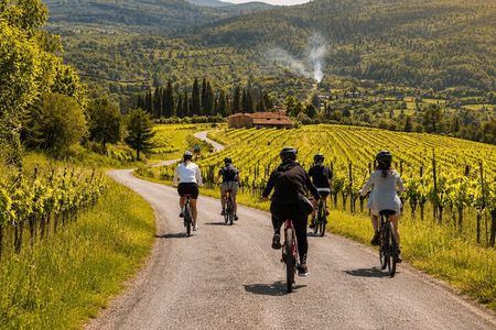 Chianti Rufina: ebike tour virtual-guided
