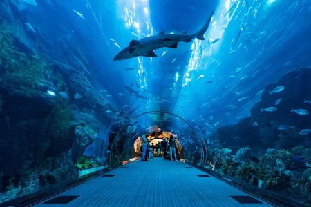 Dubai Aquarium and Underwater Zoo Admission Ticket with Options