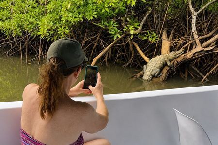 Tamarind Mangrove Tour and Wildlife Watching
