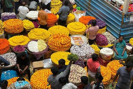 Ultimate Bangalore Full-Day Tour: Palaces, Temples & Markets