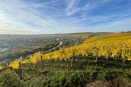 Autumn wine hike to the terroir f in Volkach