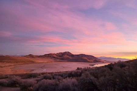 Great Salt Lake Sunset Safari Tour
