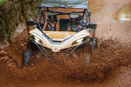 Jungle UTV Buggy Adventure and Ubud Tour