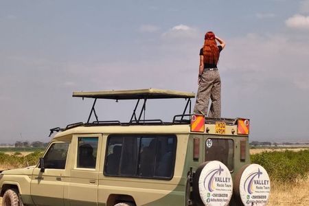Private Overnight Masai Mara Safari Tour from Nairobi 4*4 Vehicle
