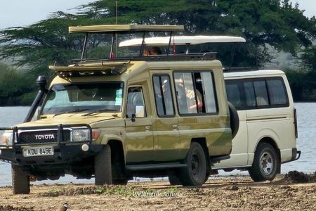 Private 4WD Lake Nakuru Day Tour from Nairobi