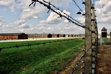 Auschwitz Birkenau Guided Tour Tickets and Transfer from Krakow