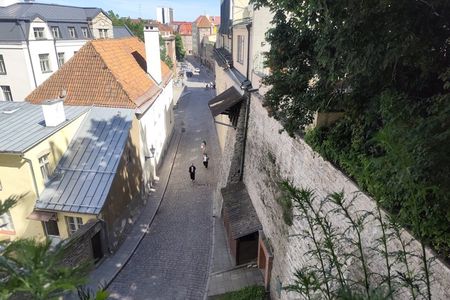 From Carnivals to Epidemics - daily life in medieval Tallinn