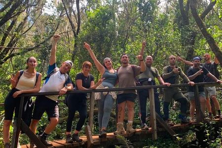 Mount Kilimanjaro Day Hike