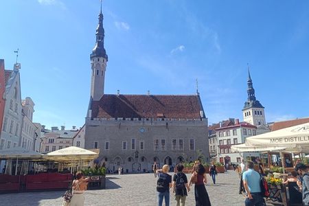 From Carnivals to Epidemics - Medieval Tallinn
