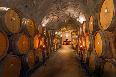 Queenstown 4 hour Wine Tour: 3 Wineries, Cave Tour & Antipasto