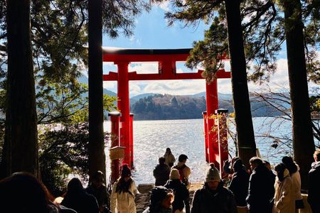 Hakone Private Highlights: Door-to-Door Full-Day Trip