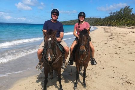 Isabela Horseback Ride Through Tropical Forest and Beach