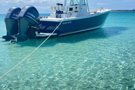 8 Hr Private Rose Island Tour Beach Snorkel Turtles Swimming Pigs