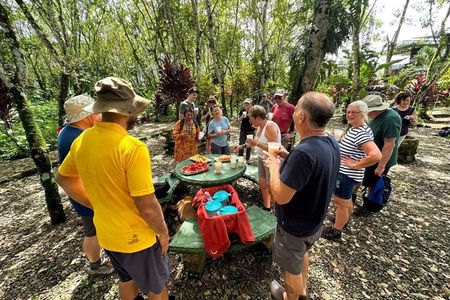 Organic Farm Tour, Tropical Fruit Tasting & Cooking Class