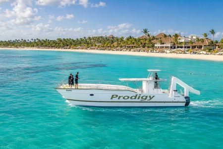 Punta Cana Catamaran Private Tour with BBQ and Natural Pool