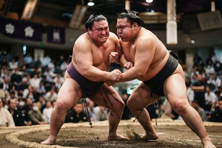 Kyoto Sumo Live Show with Photo