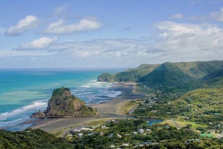 Auckland West Coast Half-Day Private Tour