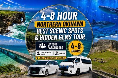 Northern Okinawa Scenic & Hidden Gems Tour 1–8 Guests（4-8H)