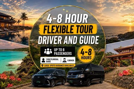 Okinawa Flexible Tour—Driver and Guide Included 1–8 Guests（4-8H）