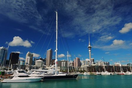 Private Tour - An intro to Auckland - The lay of the land