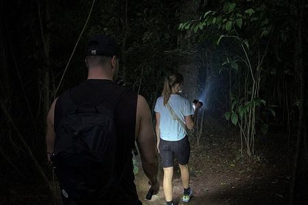 Night Tour at Bijagua Hidden Gems