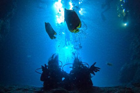 Blue Cave Okinawa Scuba Diving for Beginners