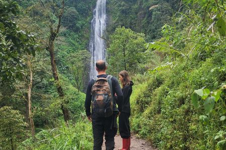 Day Trip Coffee Tour and Materuni Waterfalls