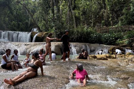 South Coast Tour- YS Falls, Black River Safari, Appleton Rum