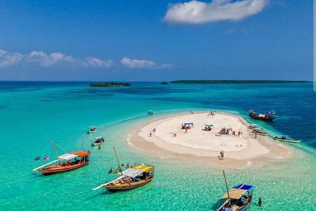 Dolphin Snorkeling and Pungume Island with Lunch and Transfer