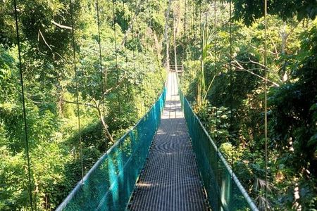 Roatan Eco Walk & Suspension Bridges Tours and Beach Options