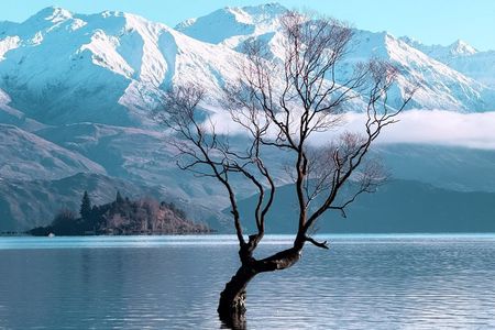 Wanaka Private Tour from Queenstown Scenic Drive and Lakeside