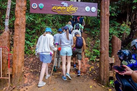 Doi Inthanon Trekking Tour with Kew Mae Pan or Pha Dok Siew