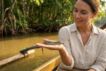 Private Bentota River Safari Boat Tour