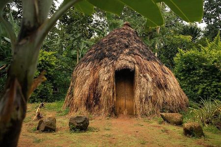 Materuni Waterfall, Coffee Ceremony &Chagga Culture Half-Day Tour