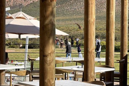 Big 5 Safari Adventure with Return Transfers from Cape Town