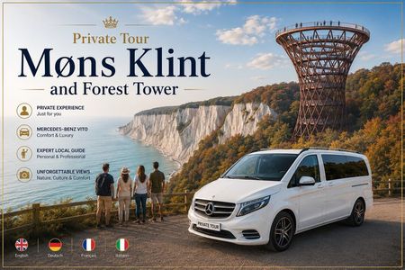 Mønsklint, Forest Tower and Forgotten Giants -Private Tour