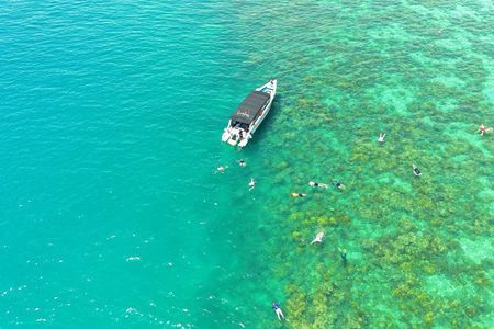 Full-Day Private Phi Phi Islands Speedboat Charter