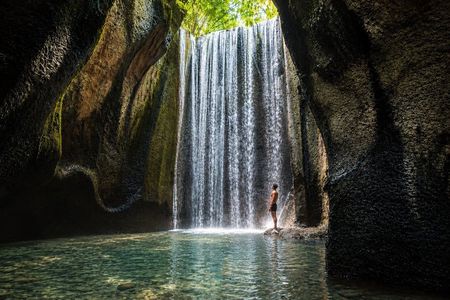 Full-Day Private Tour: Monkey Forest, Rice Terrace & Kanto Lampo