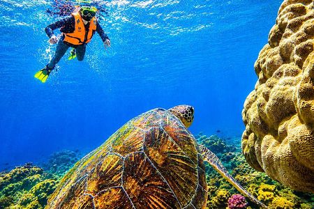 Private Ishigaki Beach Snorkeling and Island Sightseeing Tour