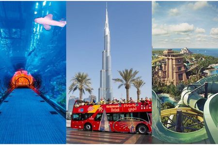 City Sightseeing Dubai Hop-On Hop-Off Bus, Aquarium & Aquaventure