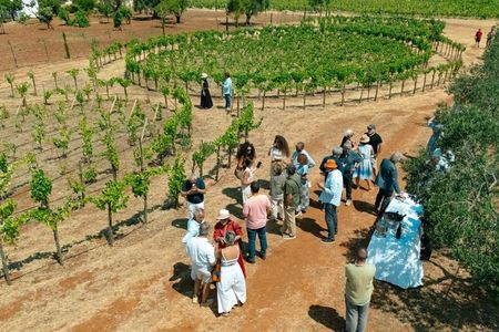 Ostuni DOC winetour and tasting.