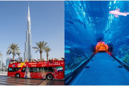 City Sightseeing Dubai Hop-On Hop-Off Bus + Lost World Aquarium