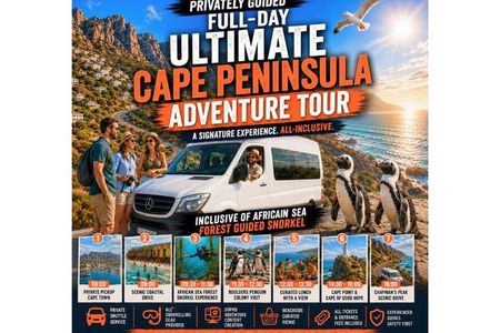 Ultimate Full-Day Cape Peninsula Tour & Guided Snorkel Activity