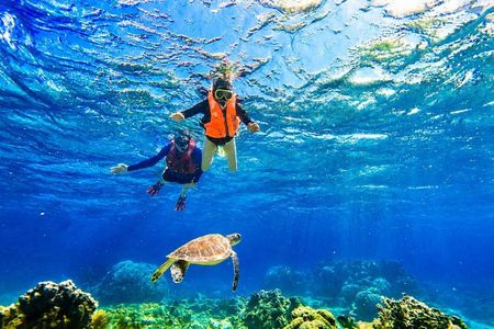 Ishigaki Sea Turtle Snorkeling Tour