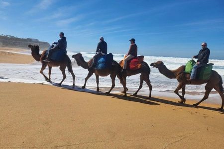 Tangier Private 4-Hour Tour with Camel Ride Experience