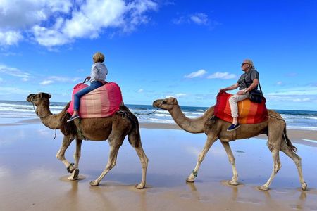 Exclusive Private Tangier Luxury Tour