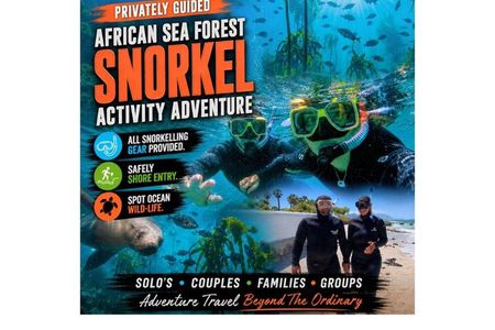 Privately Guided Snorkelling the African Sea Forest, Simonstown