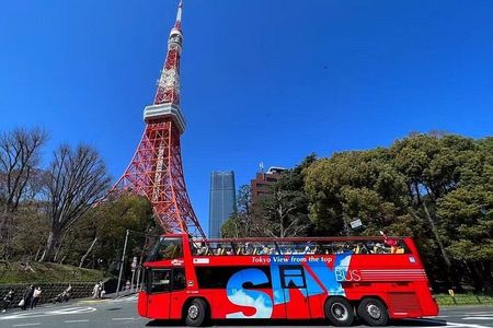 Tokyo City Highlights Bus Tour with TeamLab Borderless Ticket