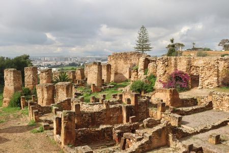 Shared Guided Tour from La Goulette Tunisia to Tunis and Carthage