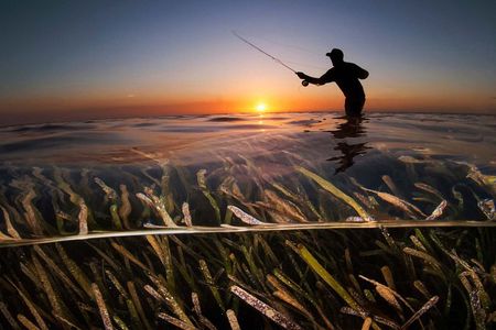 Roatan Deep Sea Fishing and Flats Fishing Adventures and Charters